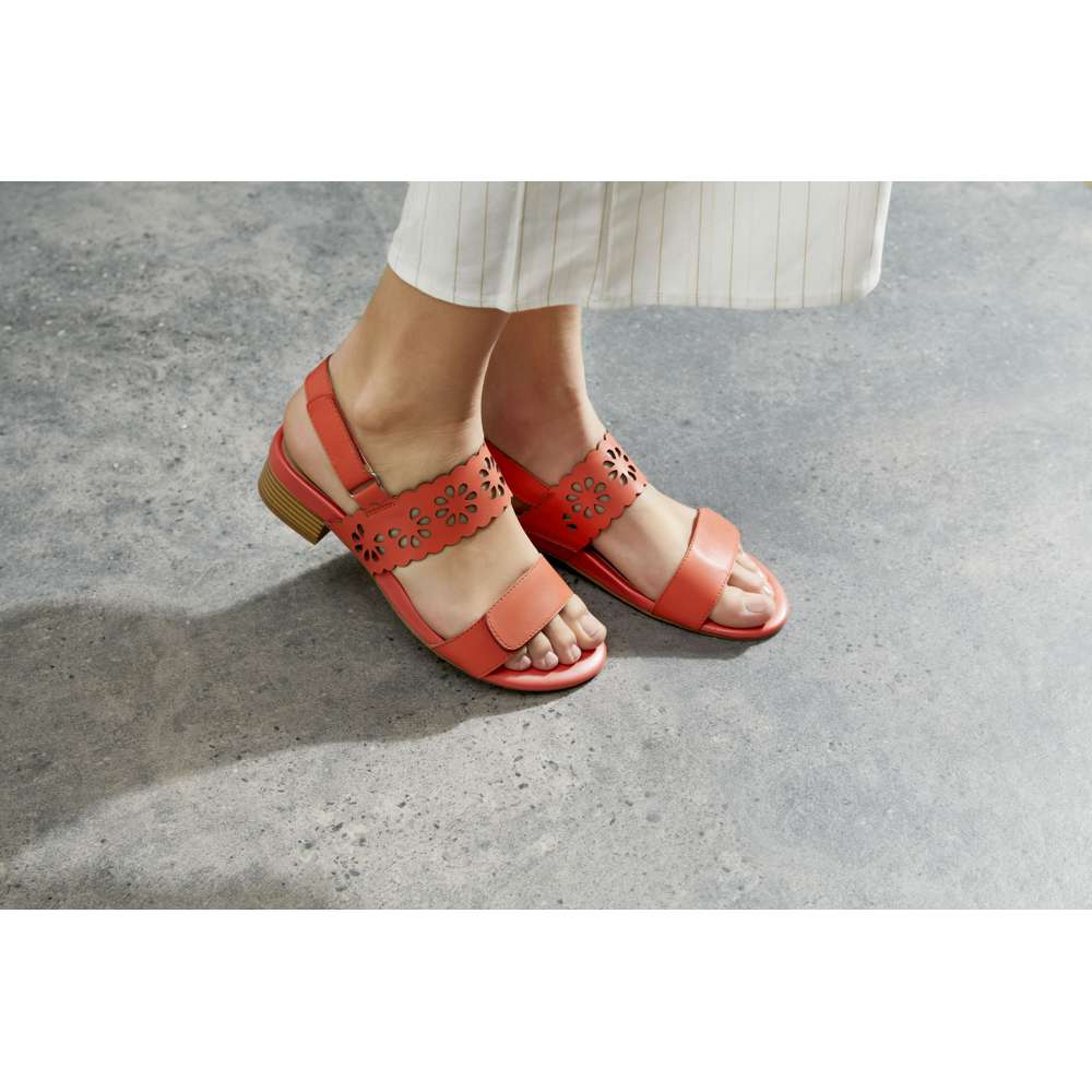 Gigi Dress Heel - Watermelon