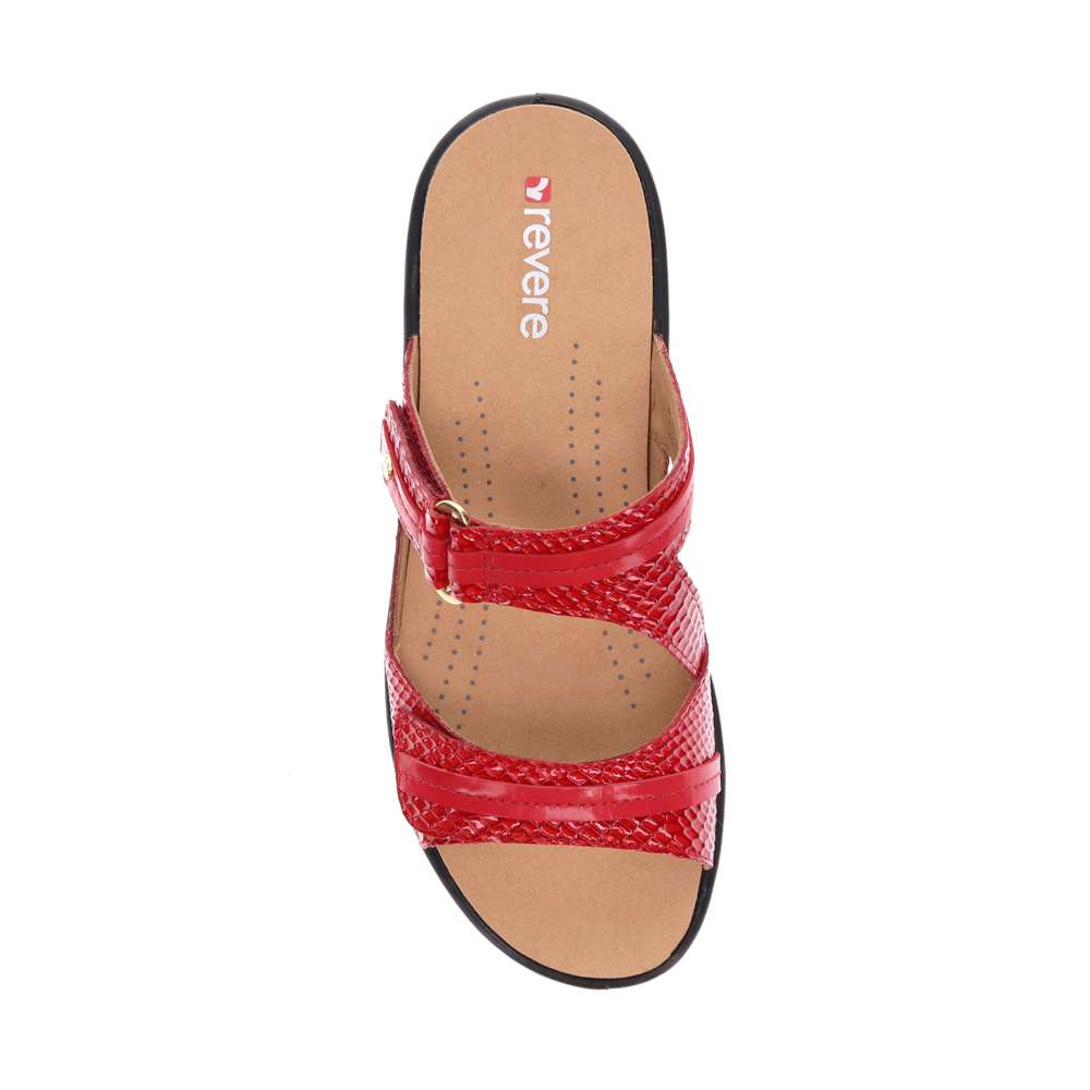 Rio Slide - Red Snake
