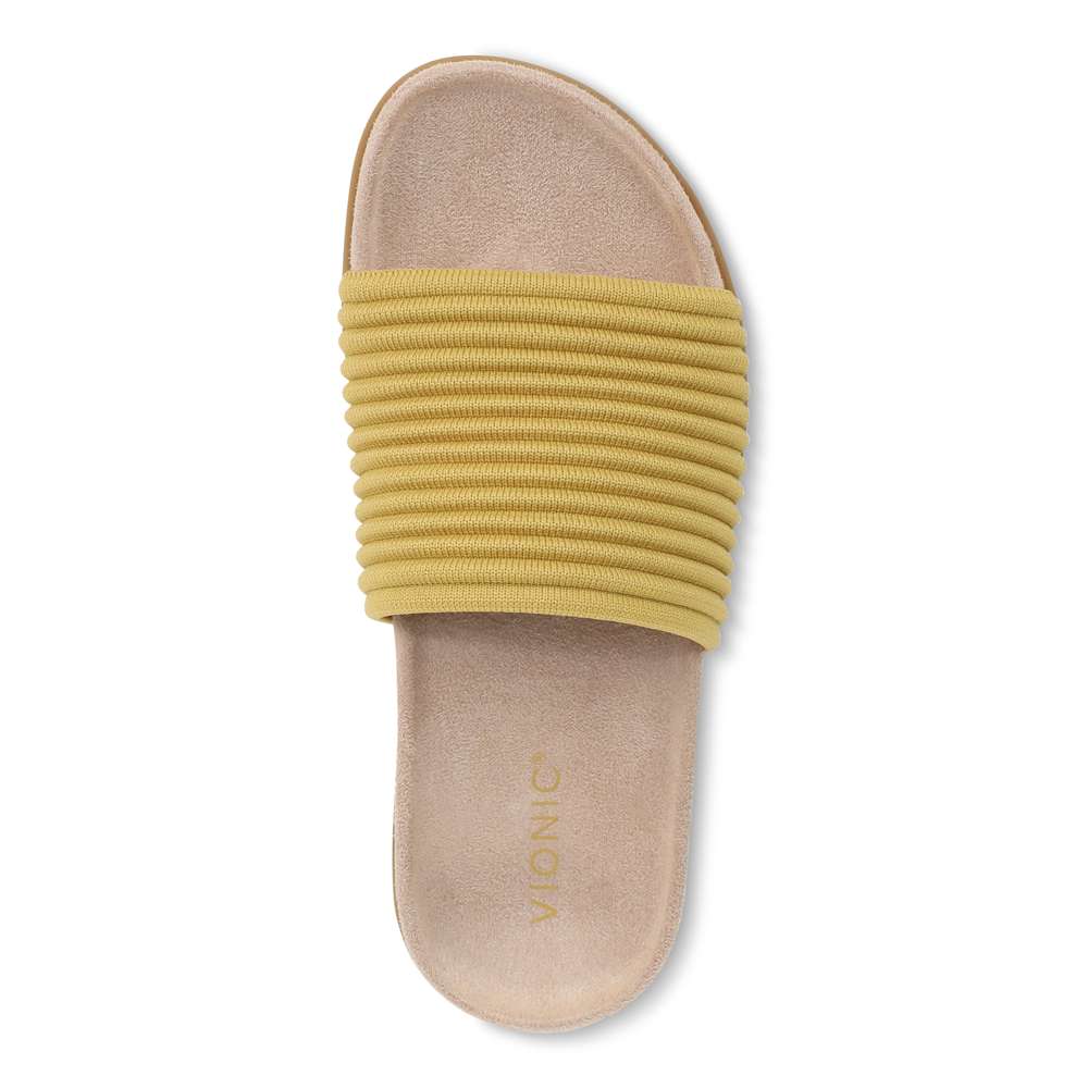 Evie Knit Slide - Dijon