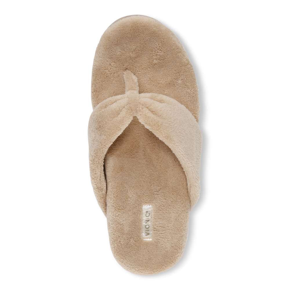 Lydia Slipper - Ginger Root