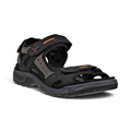 Offroad Mens - Black Oil