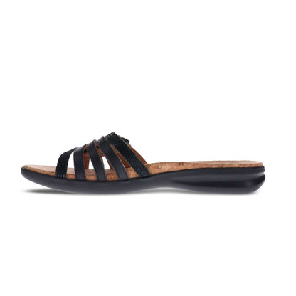 Peru Slide - Black Lizard