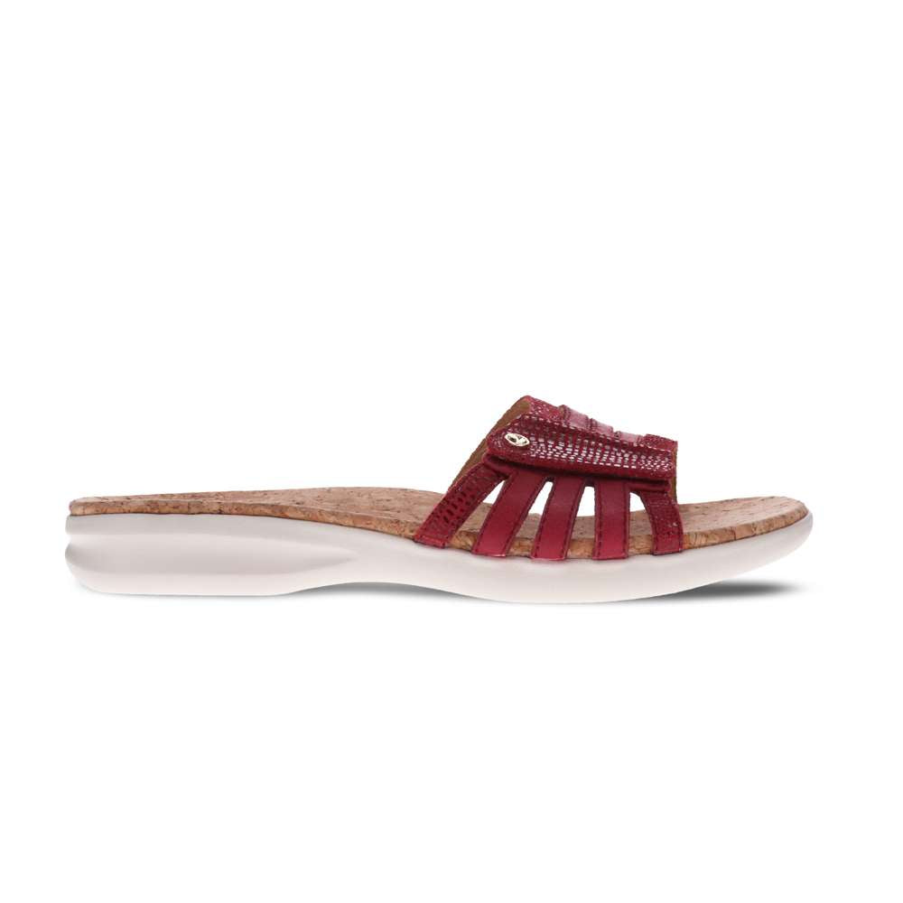 Peru Slide - Cherry Lizard